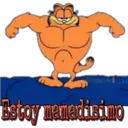 Garfield 21
