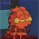 Garfield 23