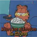 Garfield 12