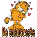 Garfield 11