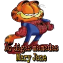 Garfield 29