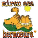 Garfield 17