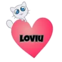 Gatito Créu 17