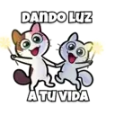 Gatito Créu 28