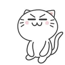 Kiki Cat 2 21