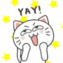 Kiki Cat 2 1
