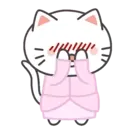 Kiki Cat 2 24