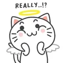 Kiki Cat 2 14
