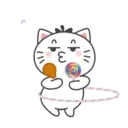 Kiki Cat 2 30