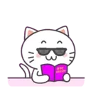 Kiki Cat 16