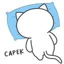 Kiki Cat 8