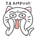 Kiki Cat 30