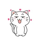 Kiki Cat 18
