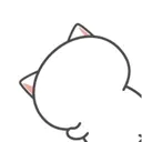 Kiki Cat 25