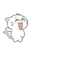 Kiki Cat 1