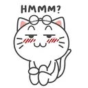 Kiki Cat 23