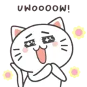 Kiki Cat 9