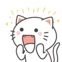 Kiki Cat 20