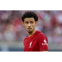 Liverpool sticker pack 9