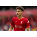 Liverpool sticker pack 5