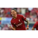 Liverpool sticker pack 15