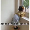 laube gehe bisschen raus