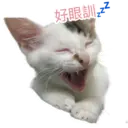 my cat Oreo 25