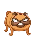 Pug (Animated) 1