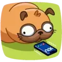 Pug (Animated) 6