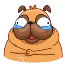 Pug (Animated) 15