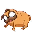 Pug (Animated) 11