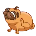 Pug (Animated) 13