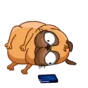 Pug (Animated) 7