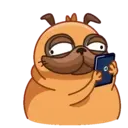 Pug (Animated) 5