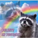 Raccoon 29