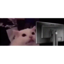 Reaction 7 12