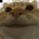 Reaction 7 14