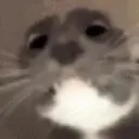 Reaction 7 1
