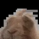 Reaction 7 9