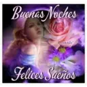 Buenas Noches Felices Sueños