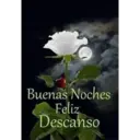 Buenas Noches Feliz Descanso