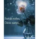 Buenas noches, Dulces sueños...