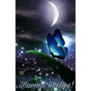 ¡Buenas noches!