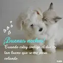 BBB B ¡Buenas noches! Cuando estoy contigo el día es tan bueno que se me pasa volando. CLARA