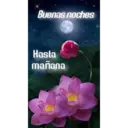 Buenas noches Hasta mañana