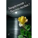 Simplemente: ¡Buenas noches!