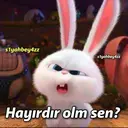 s1yahbey4zz
s1yahbey4zz
Hayırdır olm sen?
