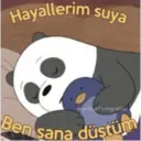Hayallerim suya
Ben sana düştüm
mondjukfotograflar