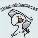 Mesajıma bakacak mısın?
ܡܡ