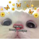 W
W
Bakim
mesaj atmışmı
W